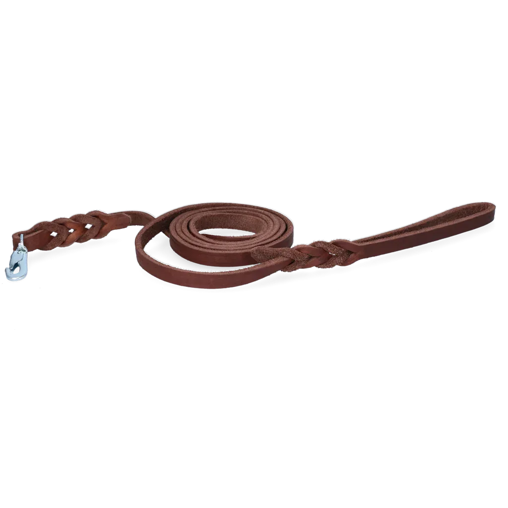 Spotted! Pro Leder Führleine Braun Klipphaken 1,6x180cm - PremiumHobby