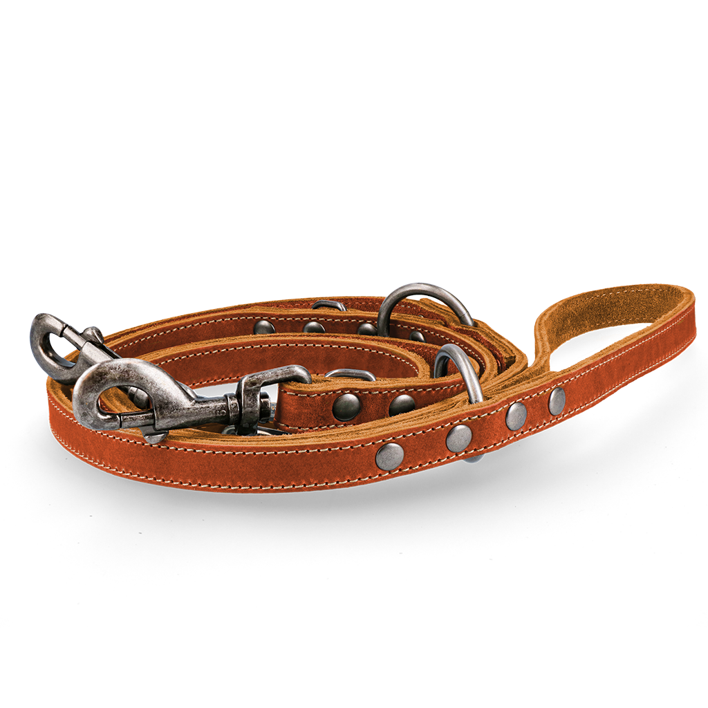 Spotted! Pro Leder Trainingsleine Cognac 1,6x250cm