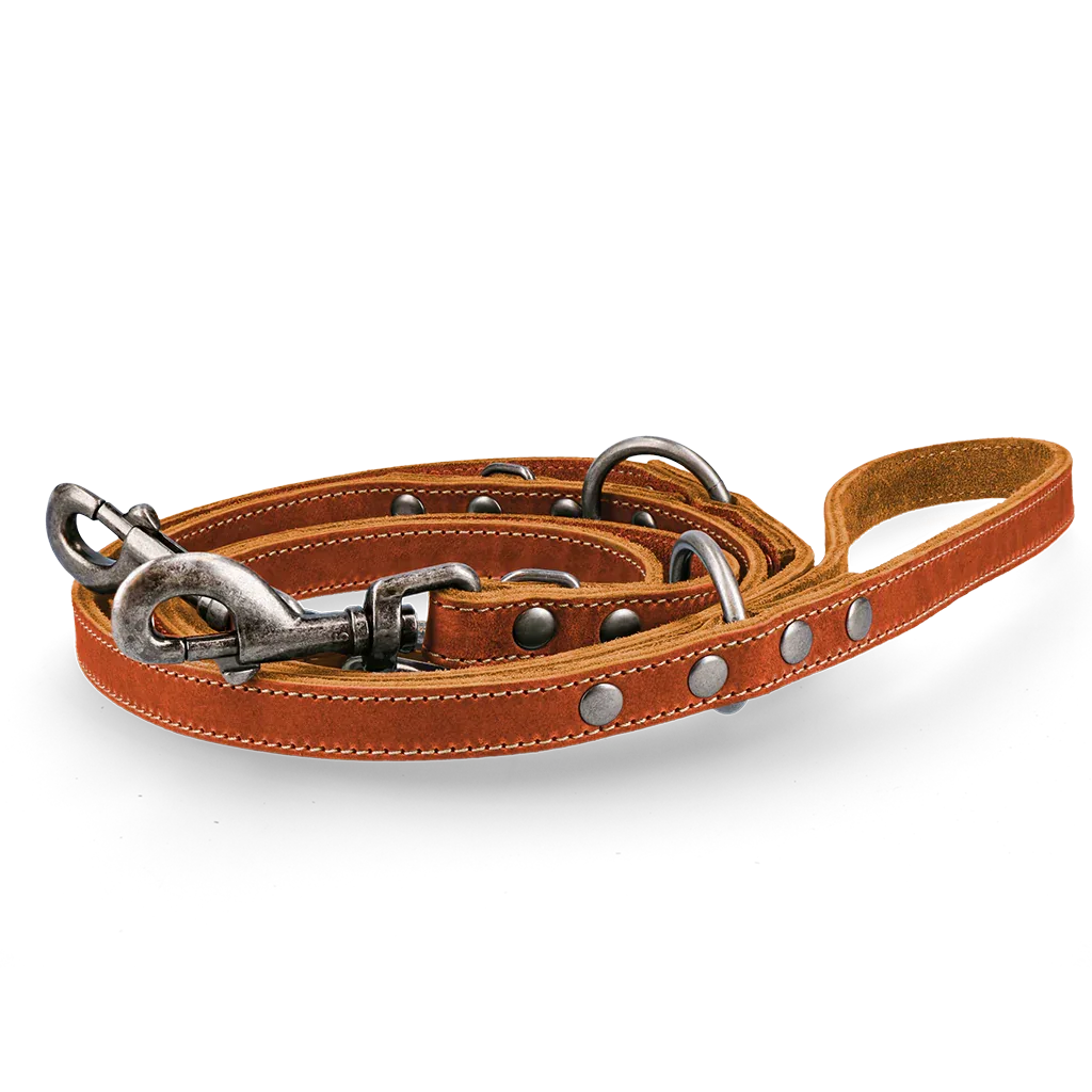 Spotted! Pro Leder Trainingsleine Cognac 1,6x250cm - PremiumHobby