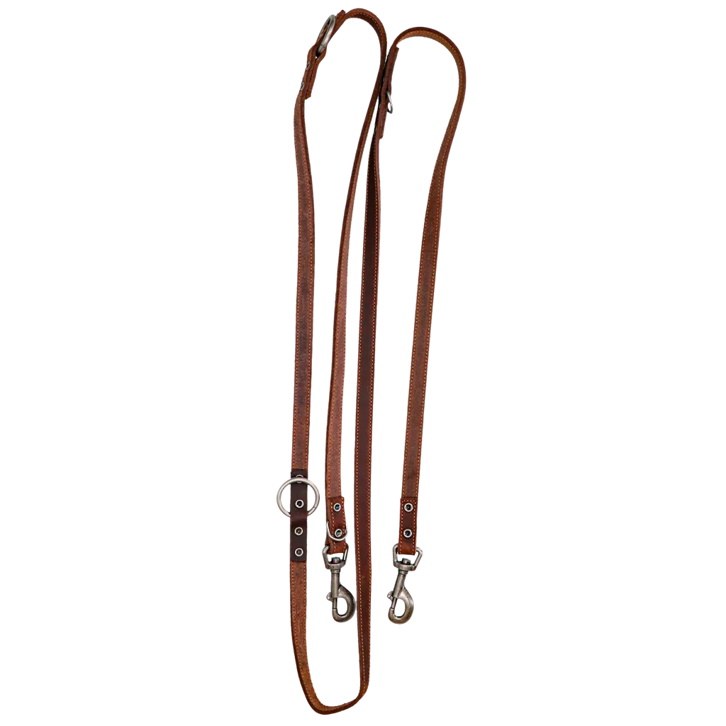 Spotted! Pro Leder Trainingsleine Braun 2x250cm - PremiumHobby