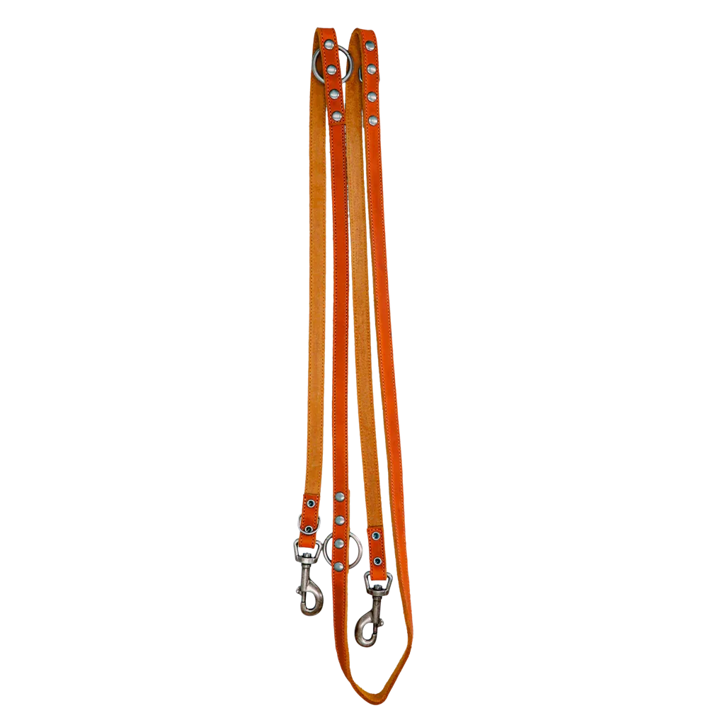 Spotted! Pro Leder Trainingsleine Cognac 2x250cm - PremiumHobby