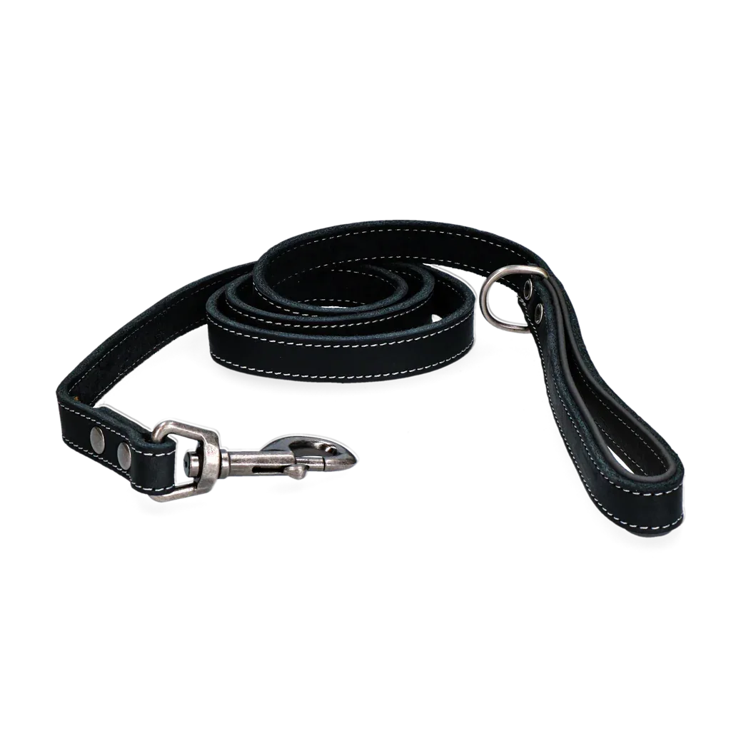 Spotted! Pro Leder Hundeleine Schwarz 1,8x130cm - PremiumHobby