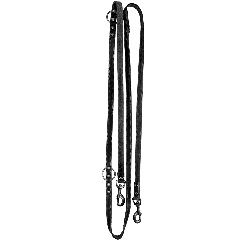 Spotted! Pro Leder Trainingsleine Schwarz 2x250cm - PremiumHobby