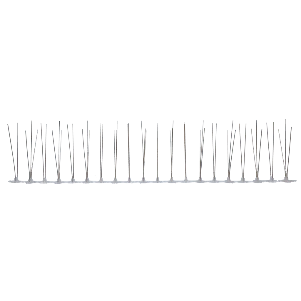 Taubennadel Kunststoff/Edelstahl 50 cm-50 Stifte - PremiumHobby