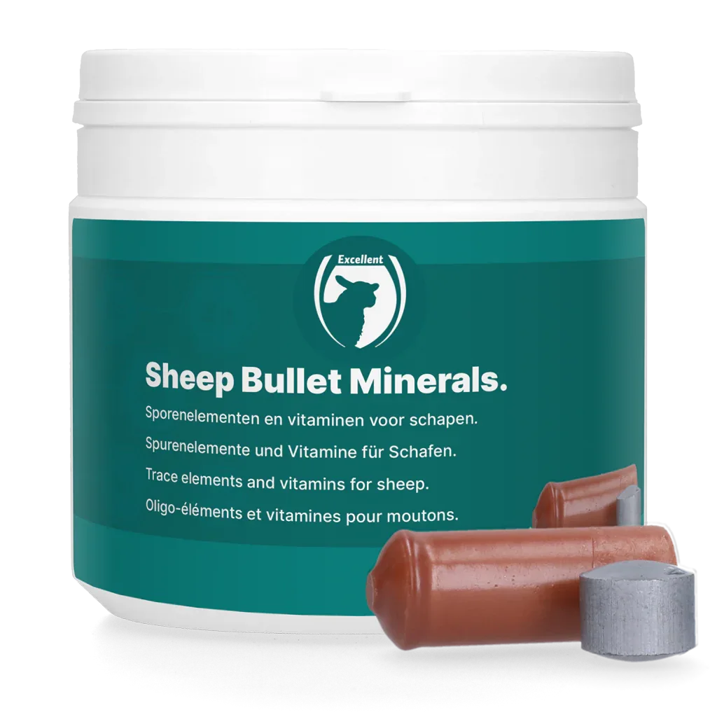 Sheep Bullet Minerals - PremiumHobby