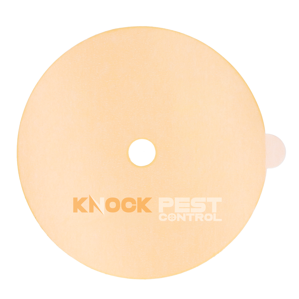 Knock Pest Klebeplatte für Insektenfalle