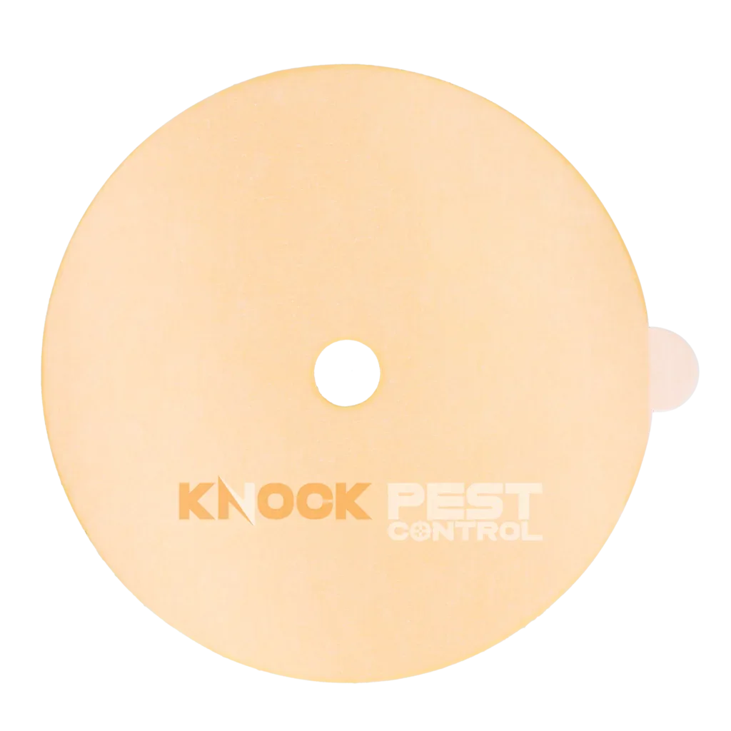 Knock Pest Klebeplatte für Insektenfalle - PremiumHobby