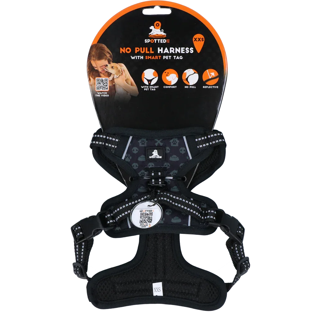 Spotted! PRO Geschirr Anthrazit XXS - PremiumHobby