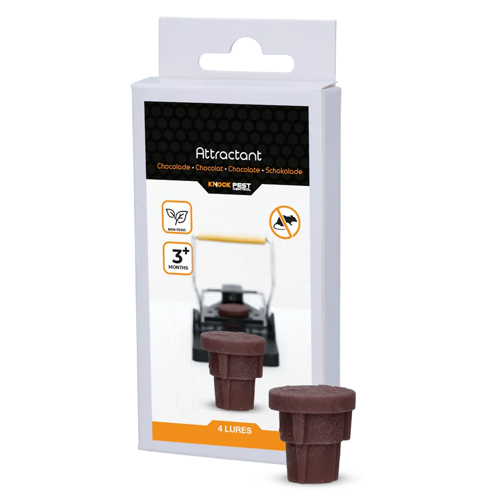 Knock Pest Attractant Schokoladen - PremiumHobby