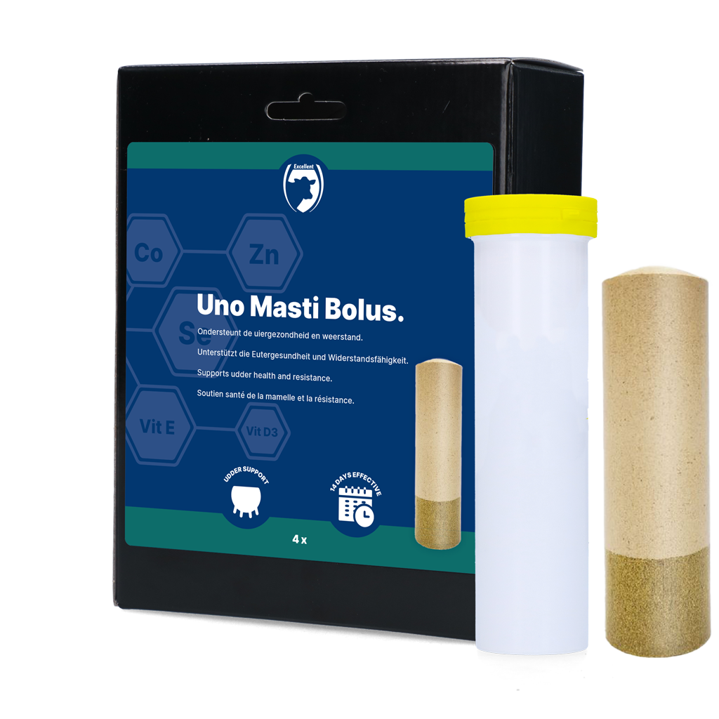 UNO Masti Bolus