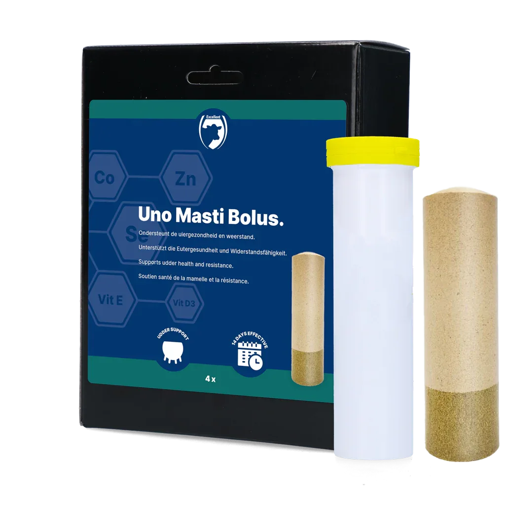 UNO Masti Bolus - PremiumHobby