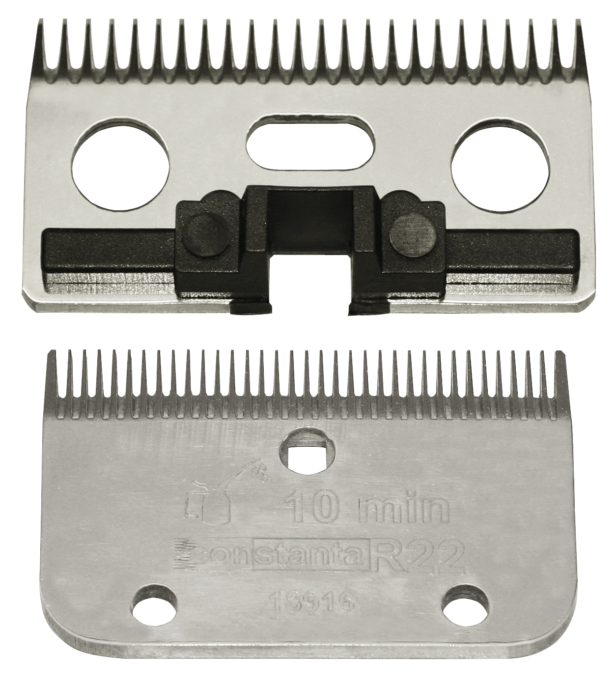 Constanta Rodeo R22 0,55 mm, 35/24 Z