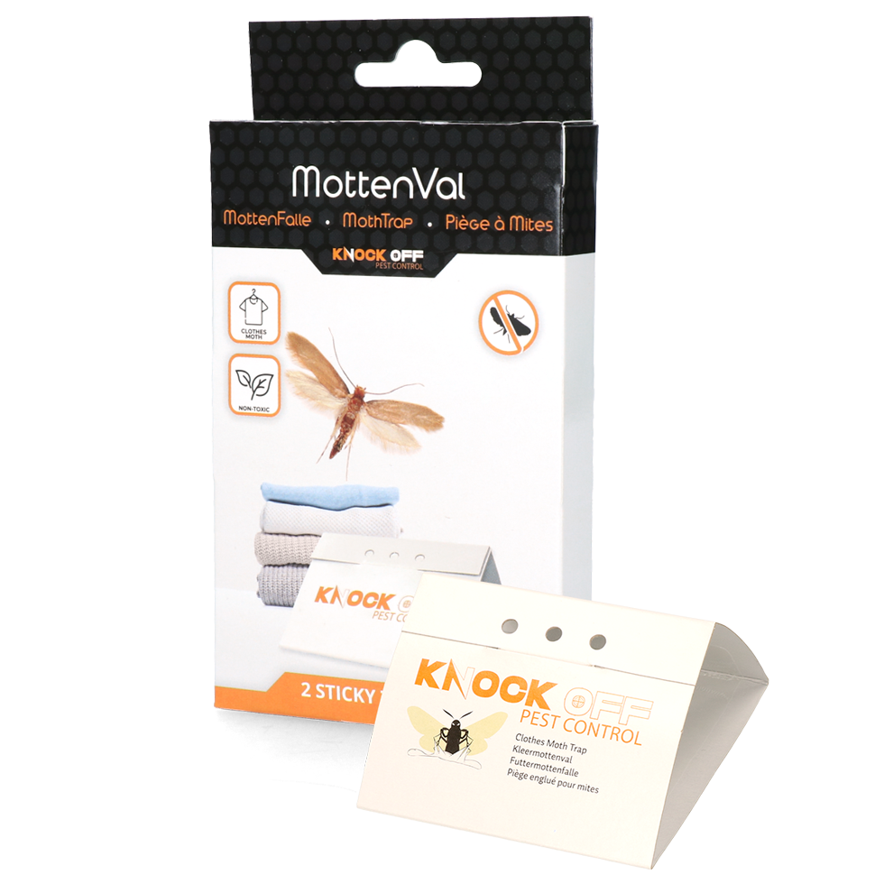 Knock Pest Kleidermottenfalle Delta