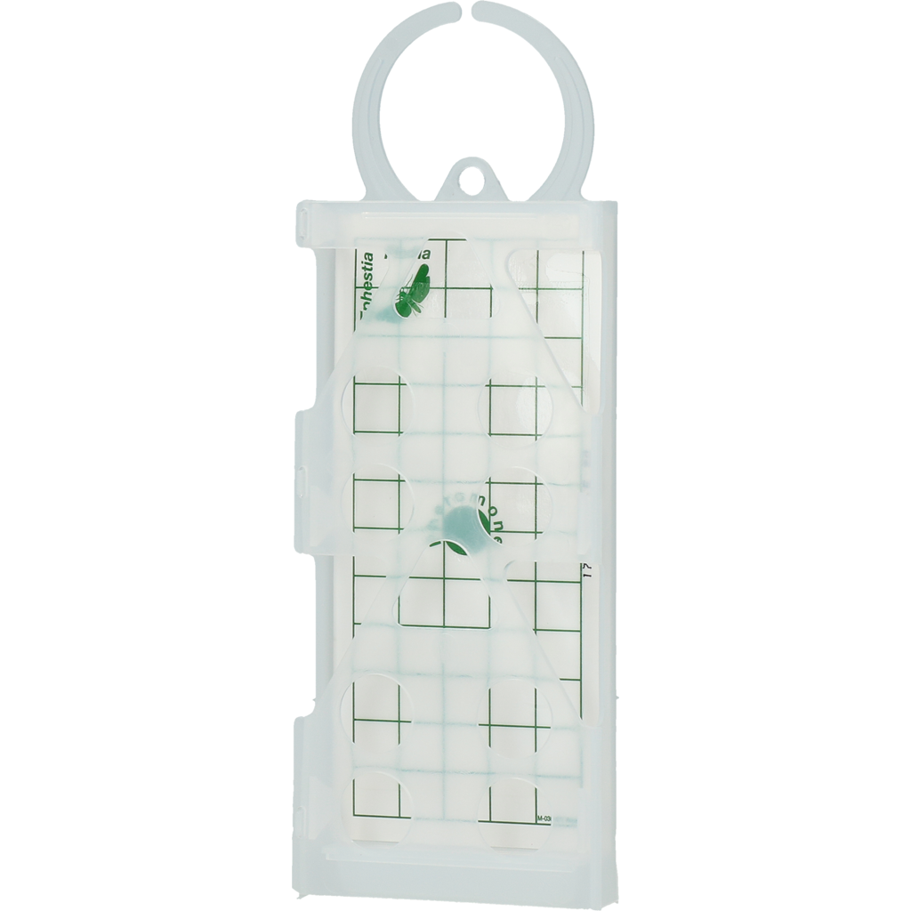 Knock Pest Lebensmittelmottenklebefalle