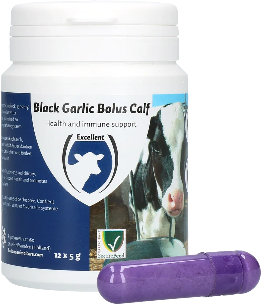 Schwarzer Knoblauch Bolus Kalb - PremiumHobby