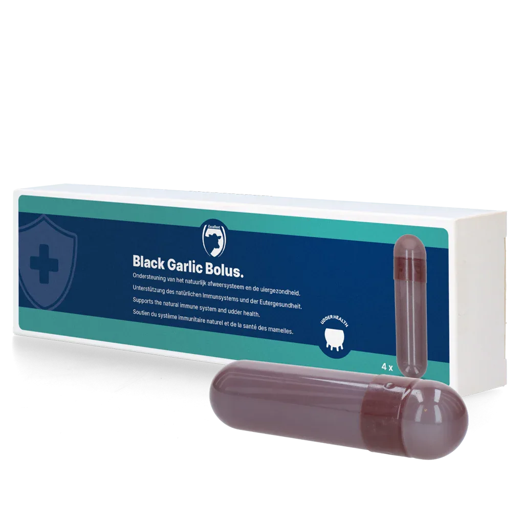 Schwarzer Knoblauch Bolus Rind - PremiumHobby