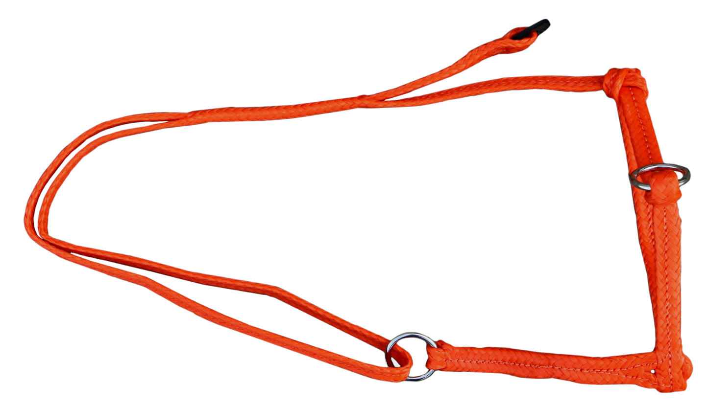 Kuhhalfter einstellbar breit orange - PremiumHobby