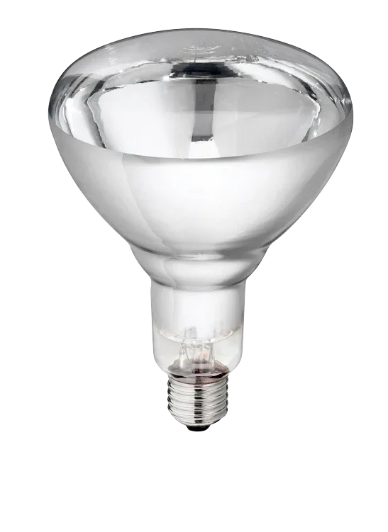 Infrarotlampe 250 Watt weiß / Hartglass Philips - PremiumHobby