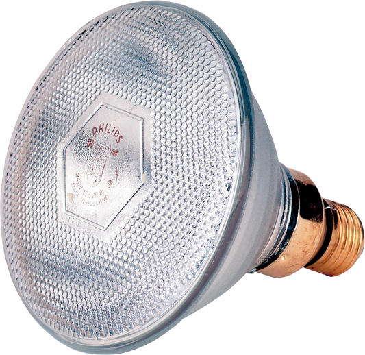 Infrarotsparlampe 100 W weiß Philips