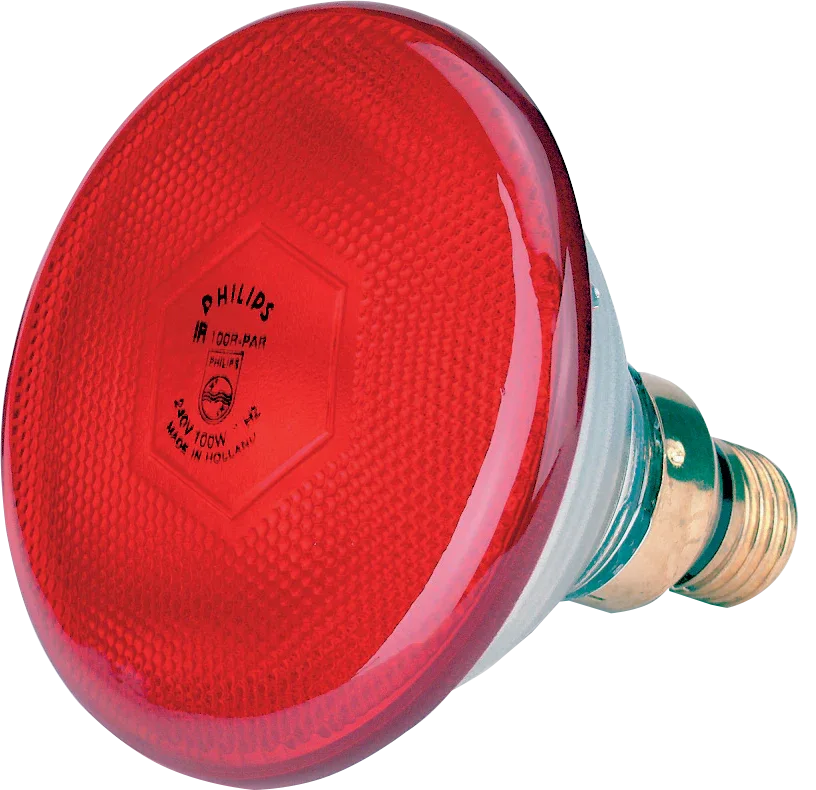Infrarotsparlampe 175 W rot Philips - PremiumHobby