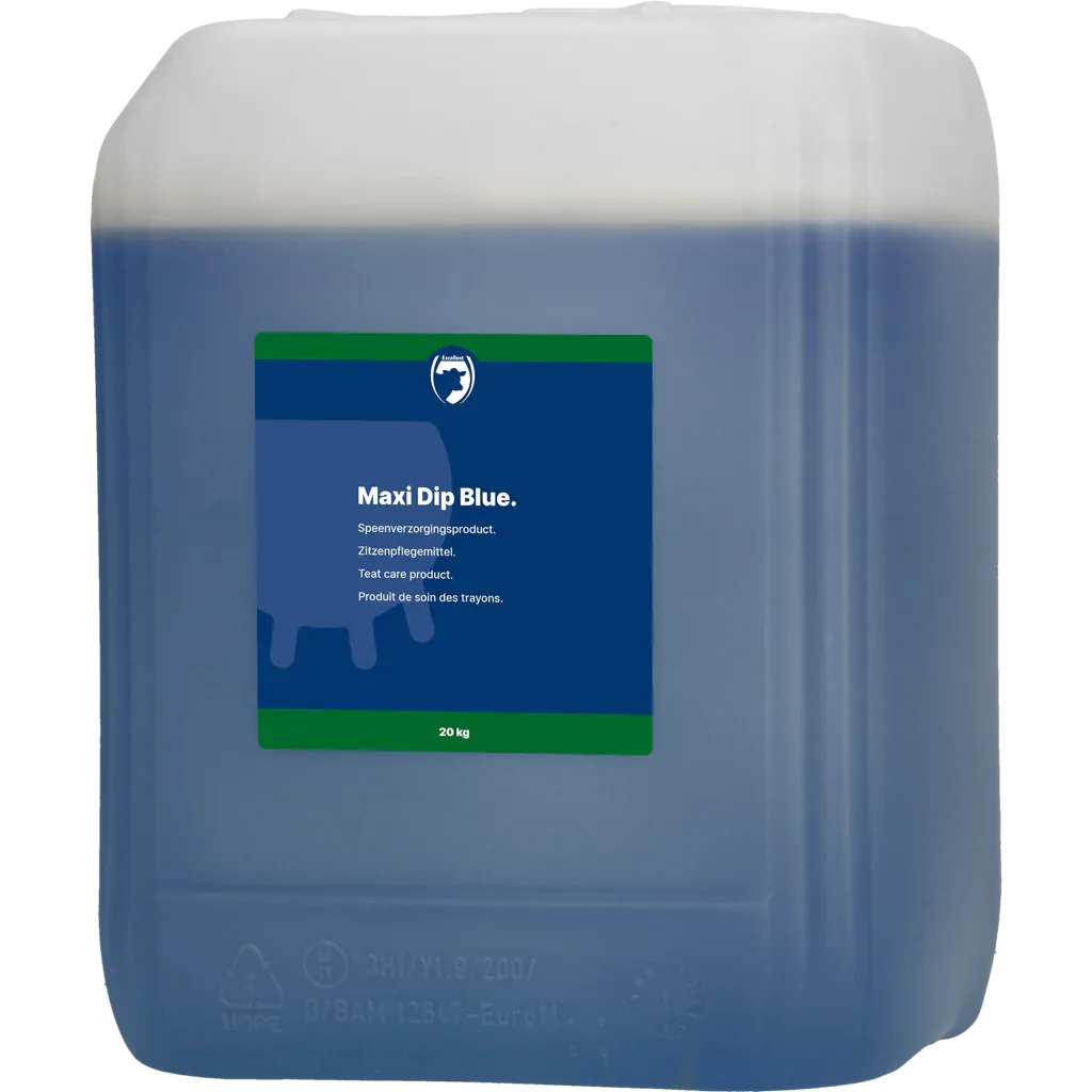 Maxi Dip Blau - PremiumHobby