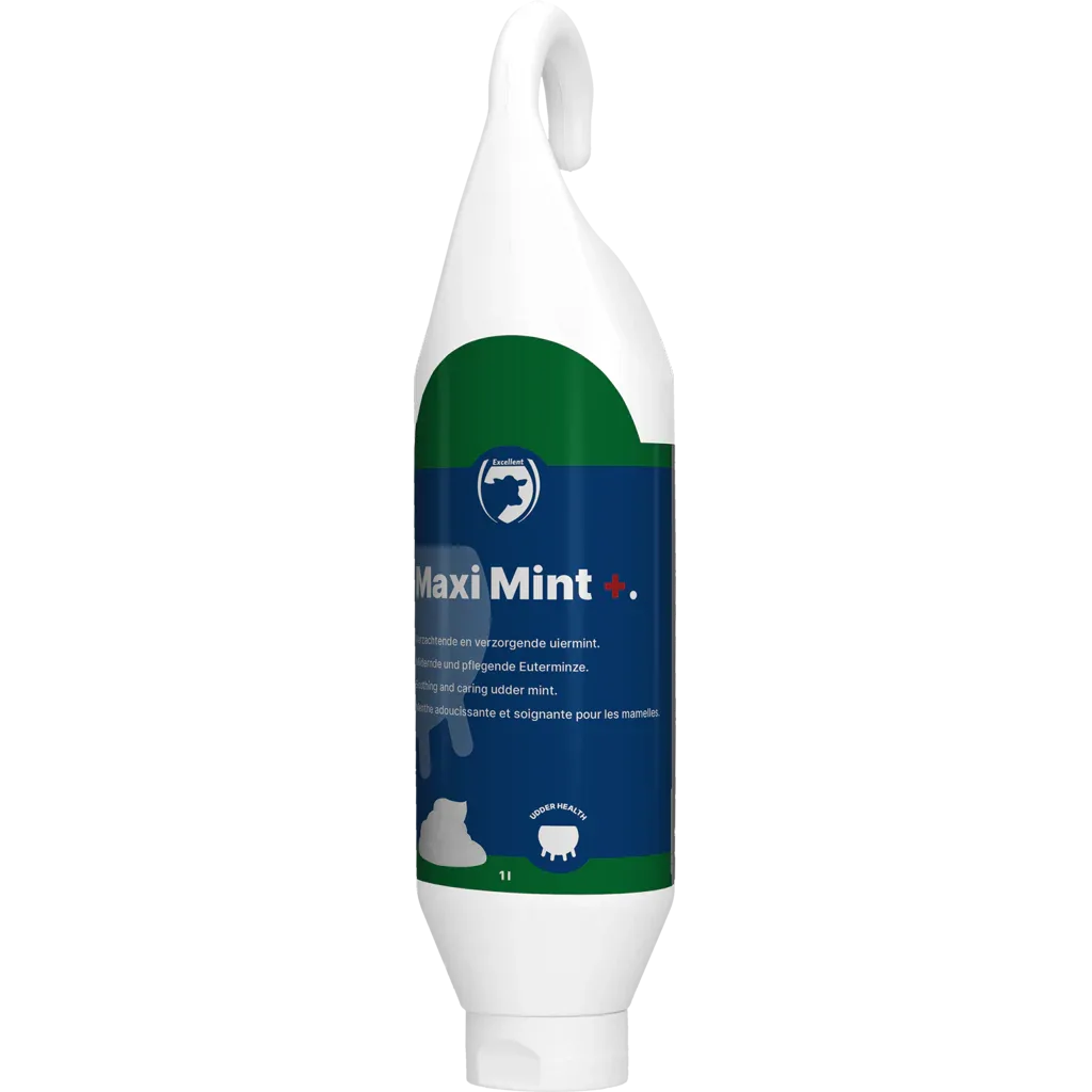 Maxi Mint Plus Steh- und Hängeflasche - PremiumHobby