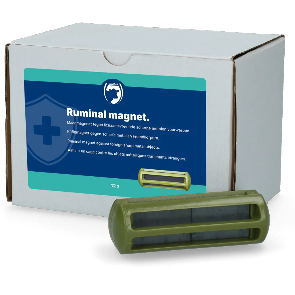 Käfigmagnet Kühe - PremiumHobby