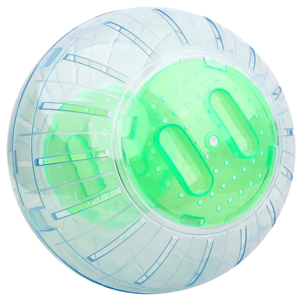 Exercise Ball 25 cm - PremiumHobby