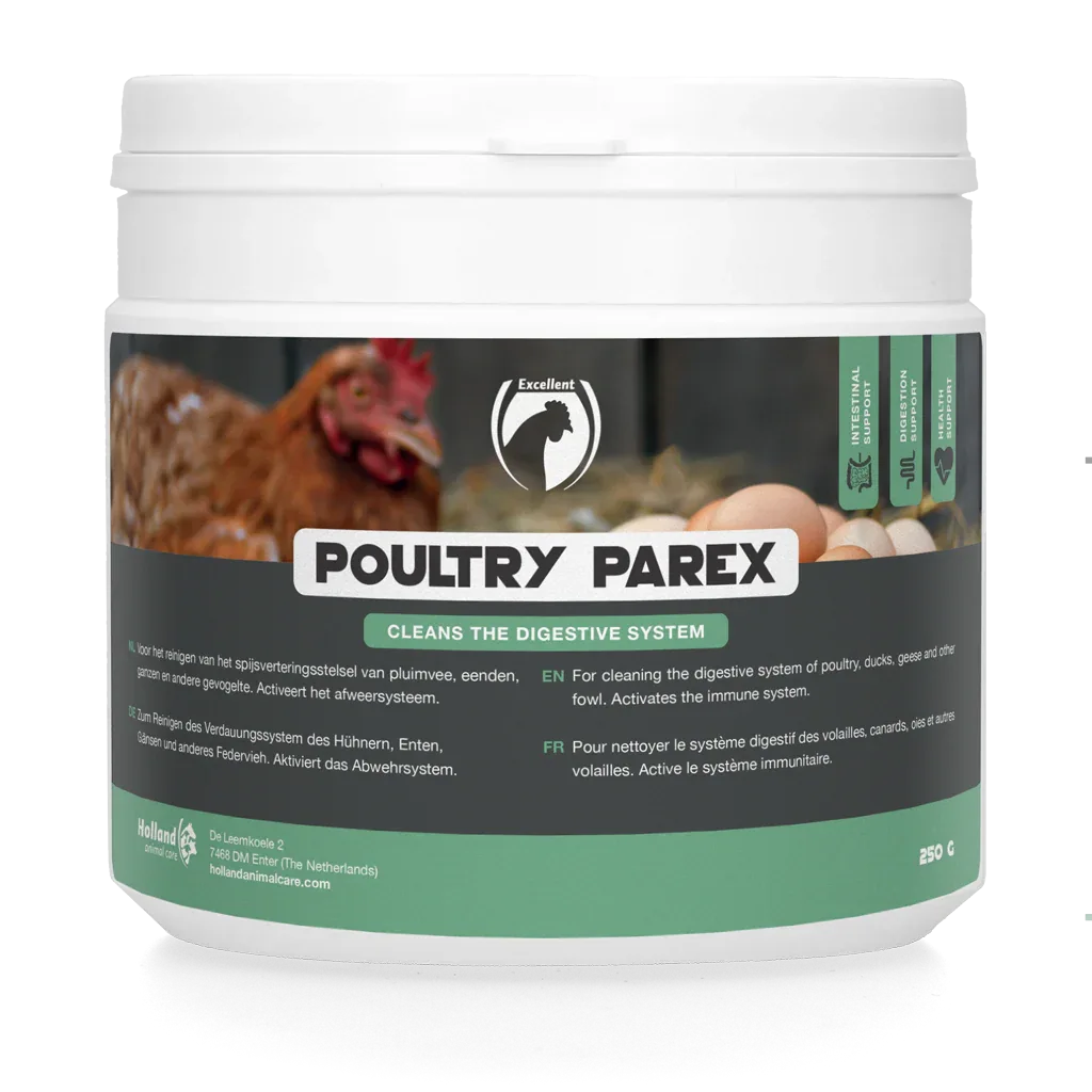 Poultry Parex - PremiumHobby