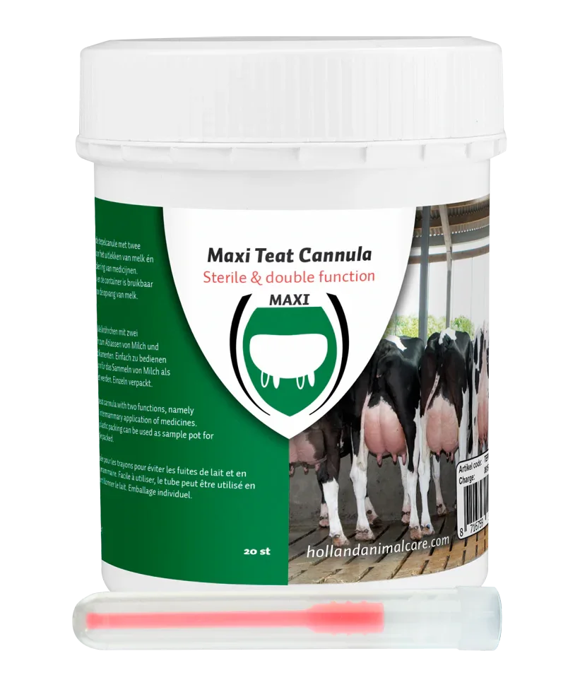 Maxi Plastik Zitzenkanüle 55 mm luer - PremiumHobby