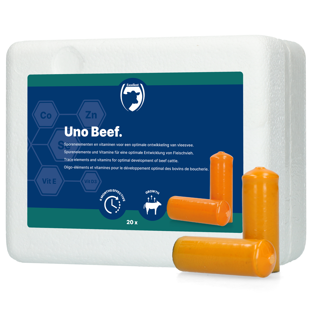 UNO (Fleischvieh)