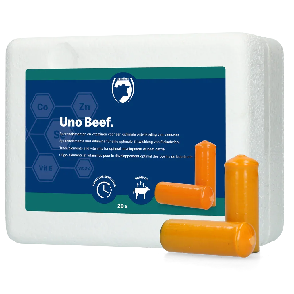UNO (Fleischvieh) - PremiumHobby