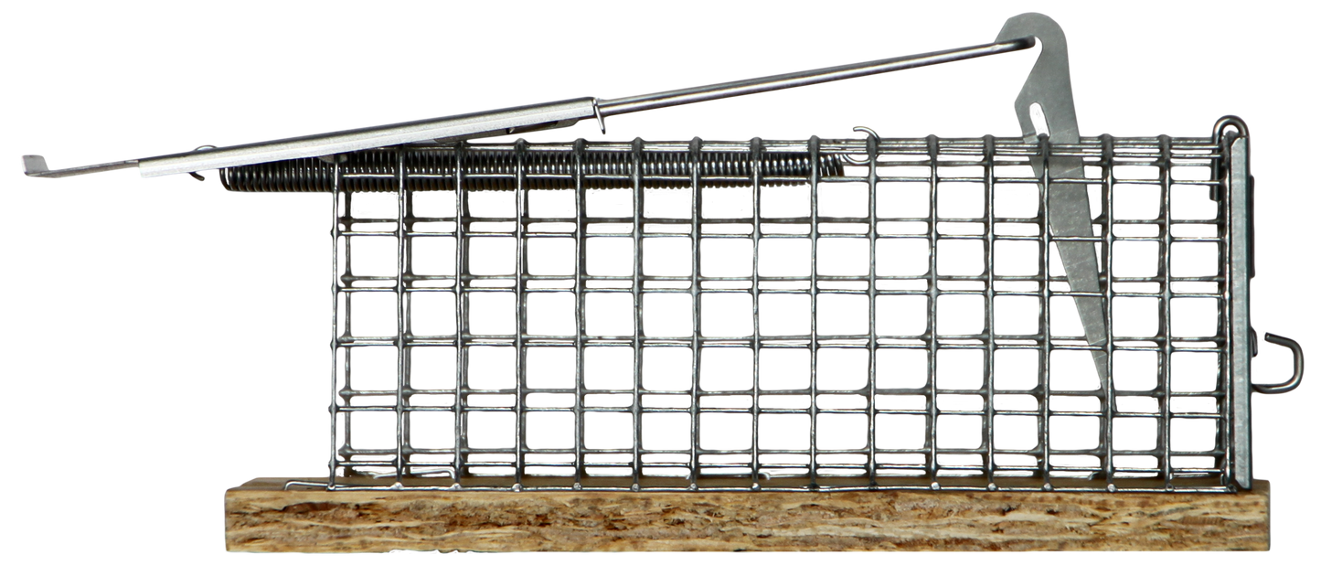 Mausefalle alive "Dura"