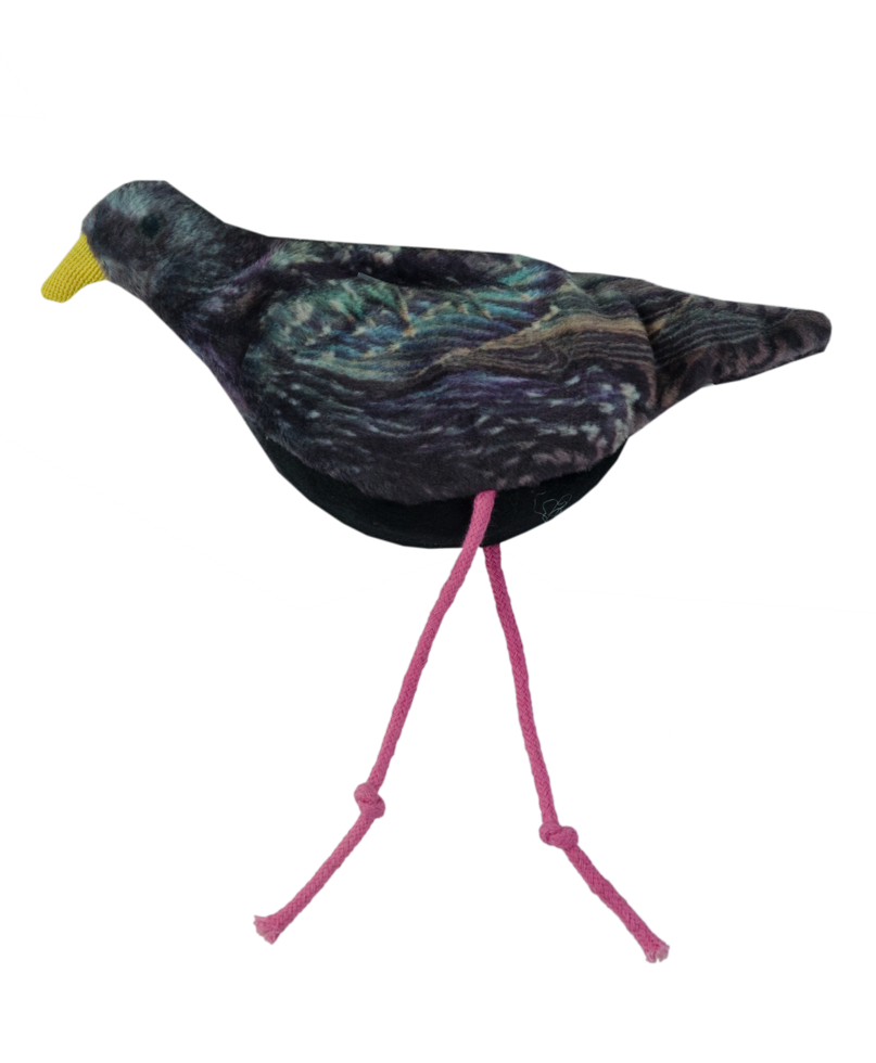 Wild Life Cat Starling (Star)