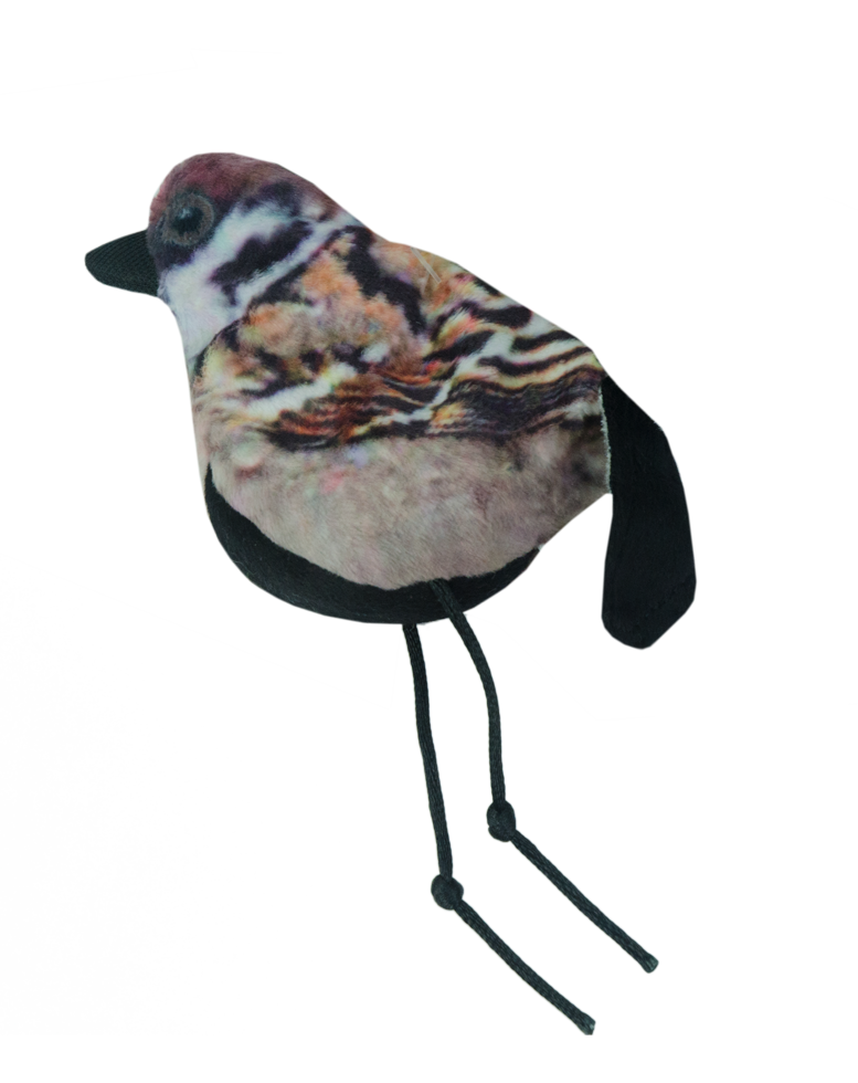 Wild Life Cat Sparrow (Spatz)