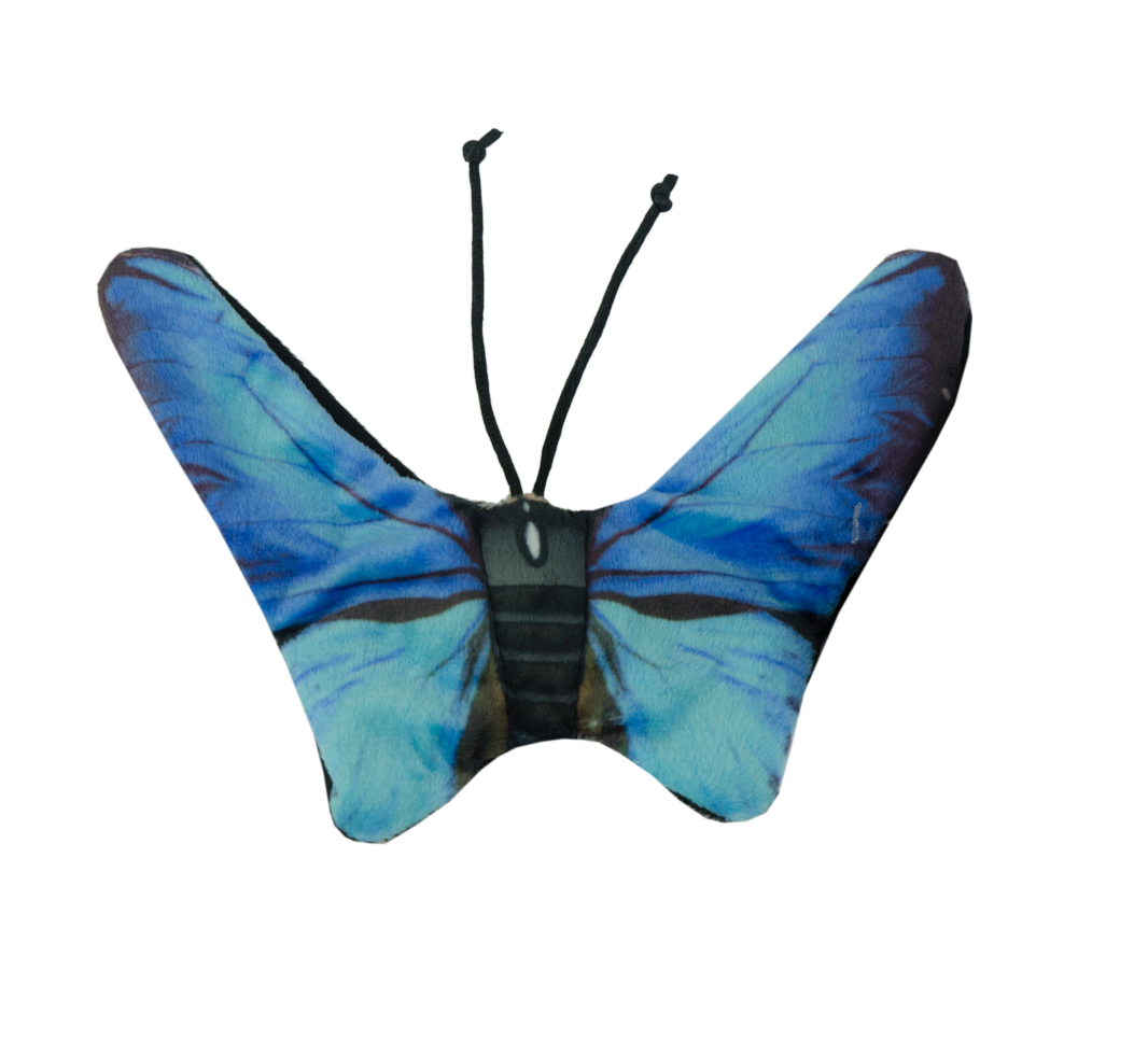 Wild Life Cat Blue Butterfly (Blauer Schmetterling)