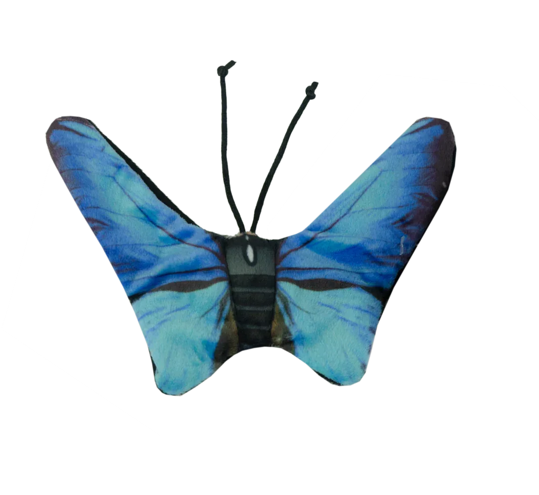 Wild Life Cat Blue Butterfly (Blauer Schmetterling) - PremiumHobby