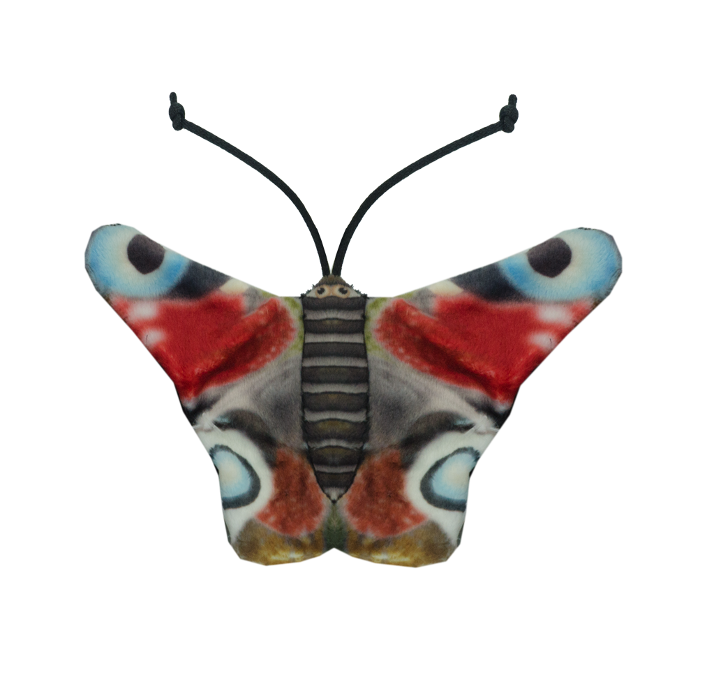 Wild Life Cat Peacock Butterfly (Tagpfauenauge)