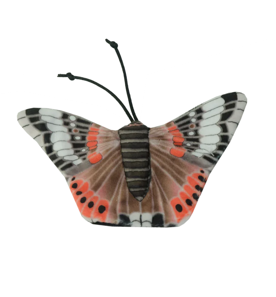 Wild Life Cat Red Admiral Butterfly (Admiral Schmetterling) - PremiumHobby