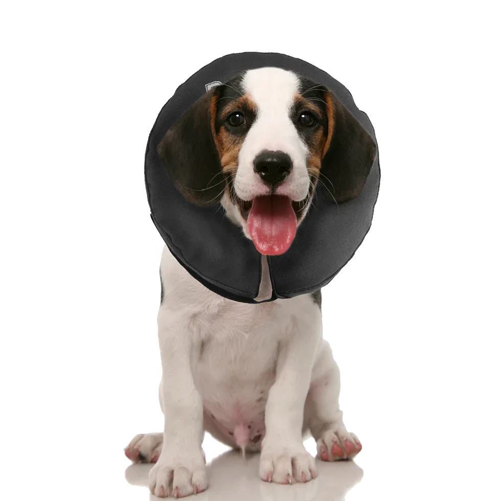 Zenpet ProCollar XS - PremiumHobby