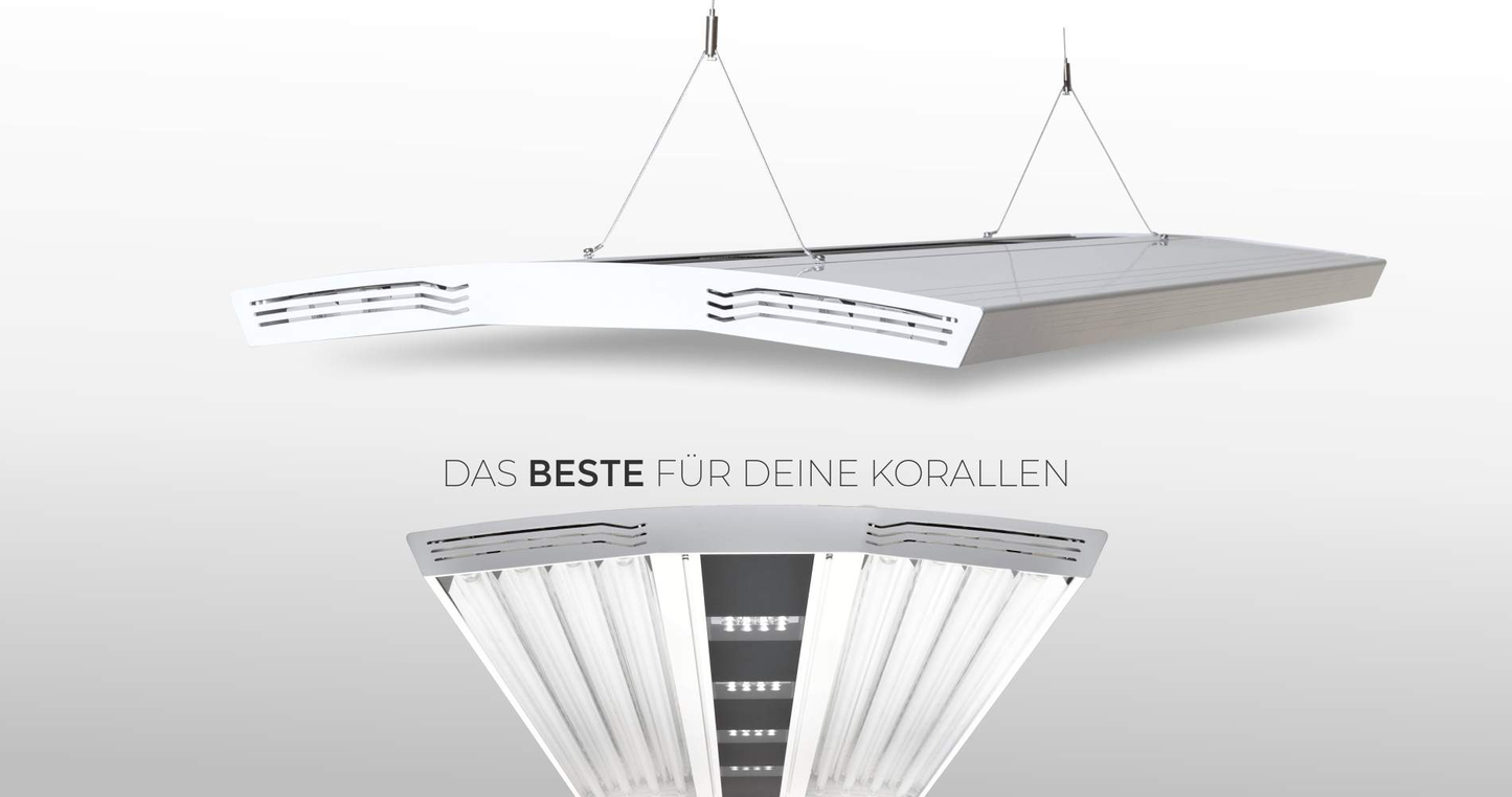 AURORA V8-Giesemann-Giesemann LED,Giesemann T-5 Hybrid,Süß- und Meerwasser Aquaristik