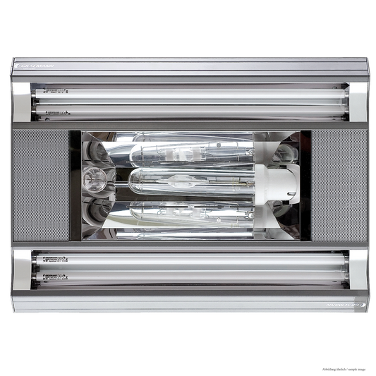 Spectra 600 mm - 1x250W/4x24 W - inkl. HQI- und T-5 Lampen - iridium