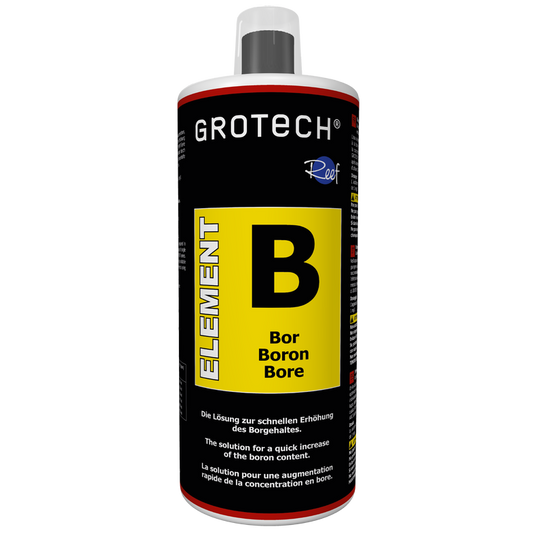 Element Bor 1000 ml