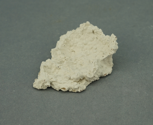 Muschelhalter 1 Stck.