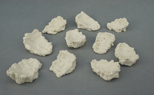 Muschelhalter 10 Stück / clam rocks 10 pieces