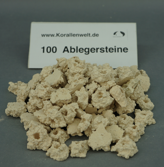 Ablegersteine 100 Stück / fragmentation rocks 100 pcs.