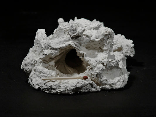 Anemonenhöhle klein