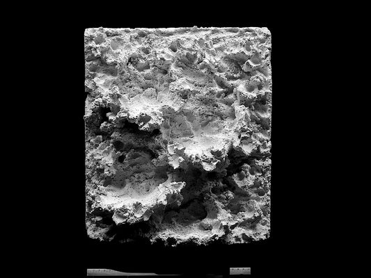 Rückwandplatte 50 x 35 cm /  Palette