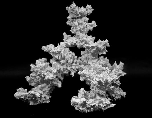 Miniriff 40 cm hoch 55 cm breit/  Palette