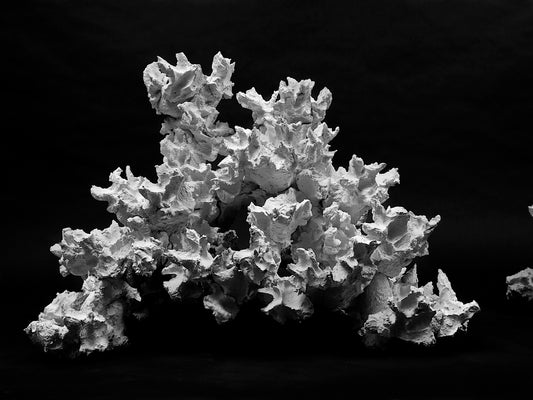 Maxiriff 40 cm hoch 55 cm breit/  Palette